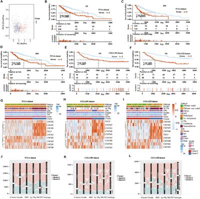 CMTM Family Genes Affect Prognosis and Modulate Immunocytes Infiltration in Grade II/III Glioma Patients by Influencing the Tumor Immune Landscape and Activating Associated Immunosuppressing Pathways